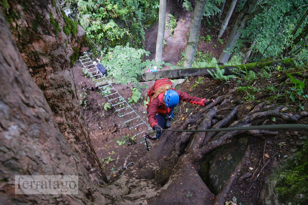 Via ferrata at Skalka, Kremnica, Slovakia